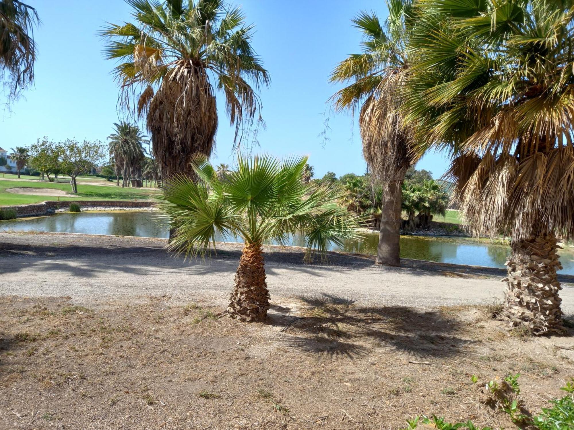 Apartamento Golf روكيتاس ذي مار المظهر الخارجي الصورة